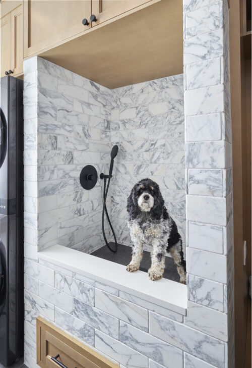 Custom pet shower and dog